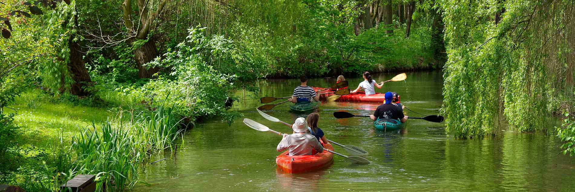 Outdoor Ausrüstungsgeschäft -Outdoor Ausrüstungsgeschäft 2